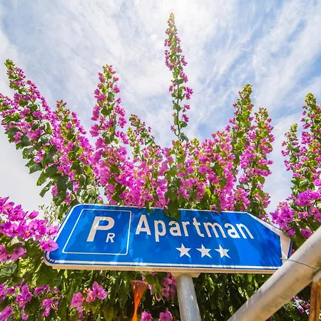 By The Sea Lumbarda, Korcula - 135